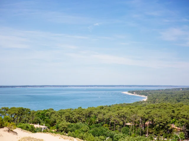 Forêt Et Océan@conteurs