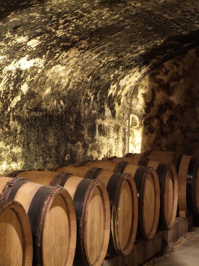 Caves des Hospices De Beaune