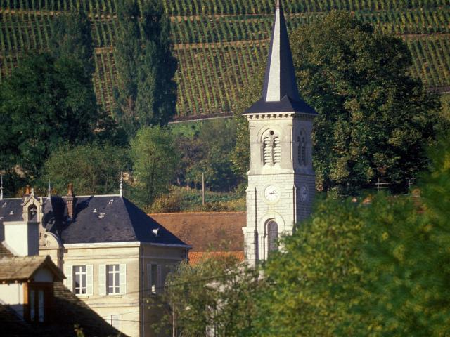 Aloxe Corton (1)