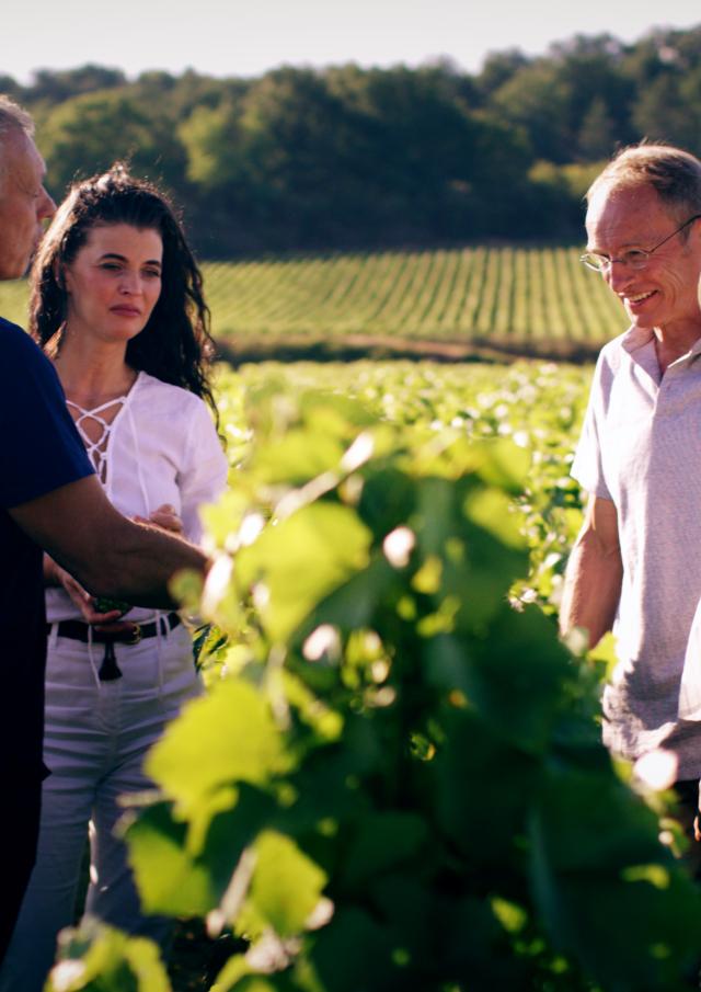 Balade Oenologie Vignes Meursault Vigneron