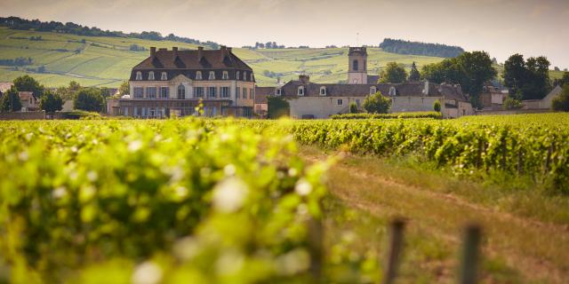 Château de Pommard et le Clos Marey au printemps