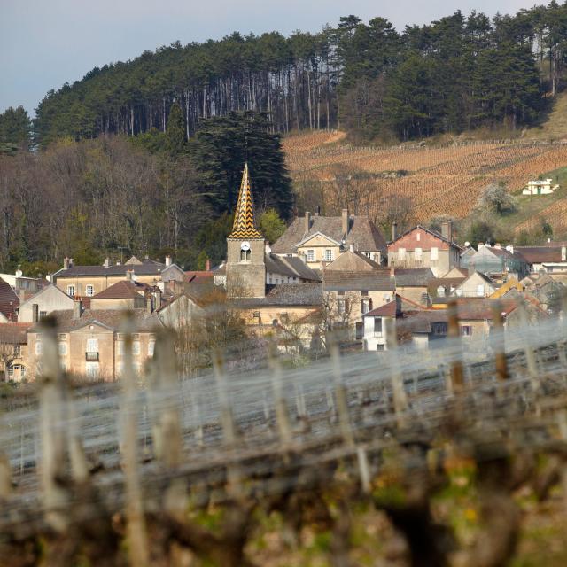 pernand-vergelesses-village
