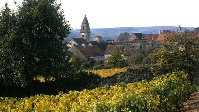 saint-aubin-vignes-automne