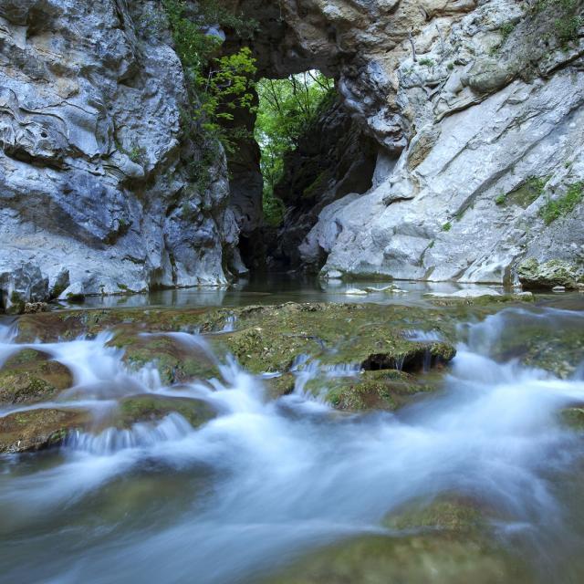 naturentdeckung grasse