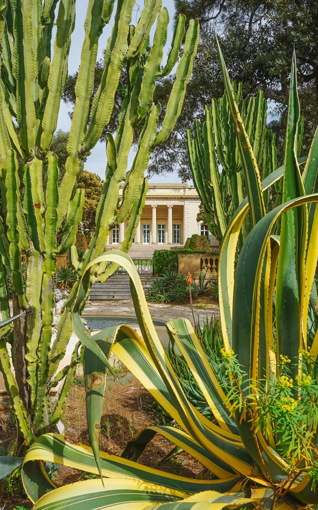 Villa Eilenroc à Antibes : un jardin exotique d’exception en bord de mer