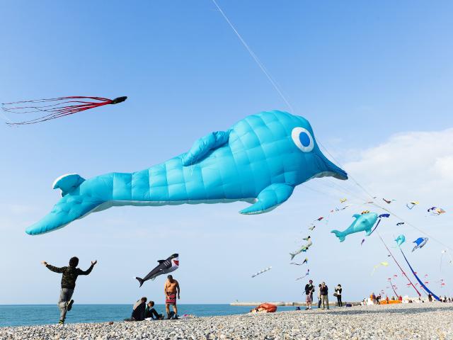 Un cerf-volant géant en forme de dauphin vole au-dessus de personnes sur la plage de galets