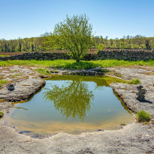 Le lac de Saint-Namphaise de Quissac, dans le Lot.