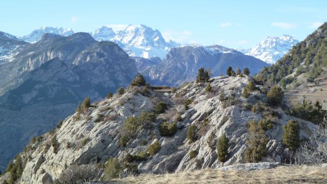 saint-crepin-genevrierspema.jpg