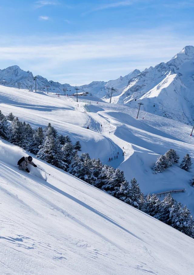 ski-Les-2-Alpes-en-hiver.jpg