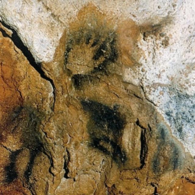 grotte_des_merveilles_-_rocamadour_-_cheval.jpg