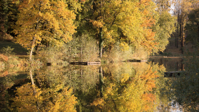 Automne Malikaturin 2404