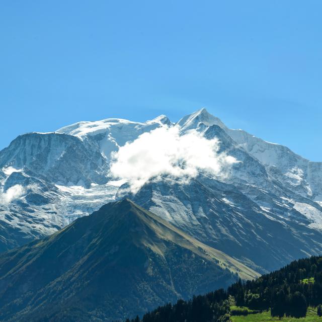 Mont-Blanc from Le Bettex