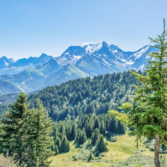 L'environnement naturel exceptionnel de Saint-Gervais