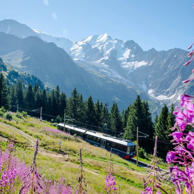 Le Tramway du Mont-Blanc en direction du Mont-Lachat l'été