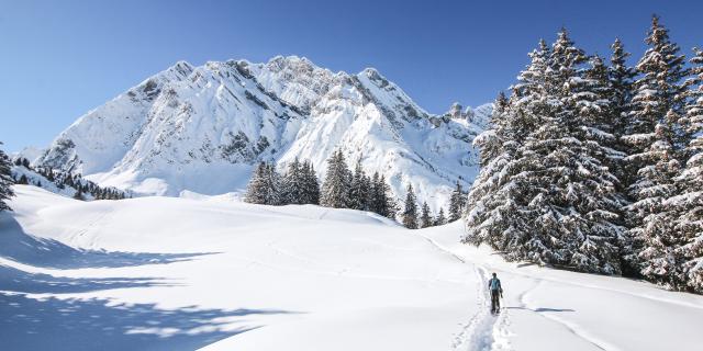 col-des-aravis-chalets-du-cure-sarah-conte-ses-aventures-79-copie.jpg
