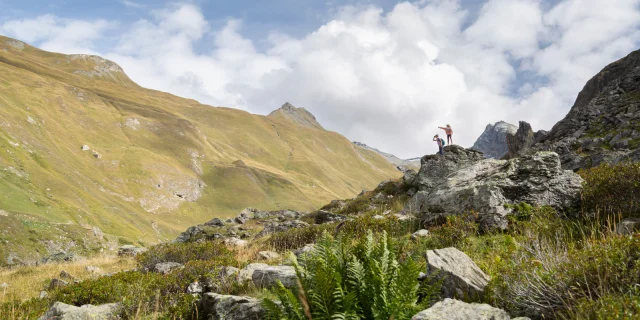 Summer landscape Vanoise park