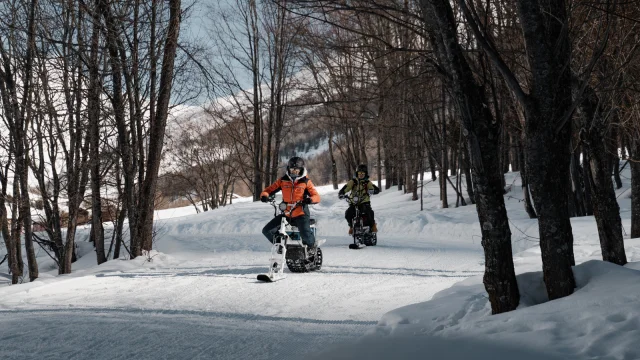 moonbike tra gli abeti